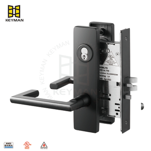 Matt Black Black ul ANSI级I级防火SFIC圆柱体入口门Mortise Lock M705
